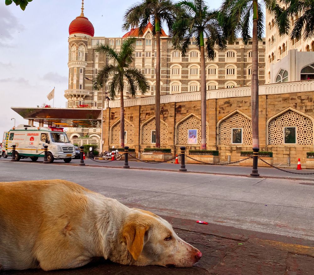 Photograph by Gargee Chowdhury