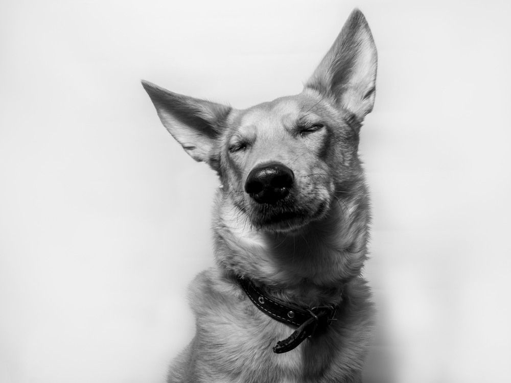 Photograph by Алексей Безгодько