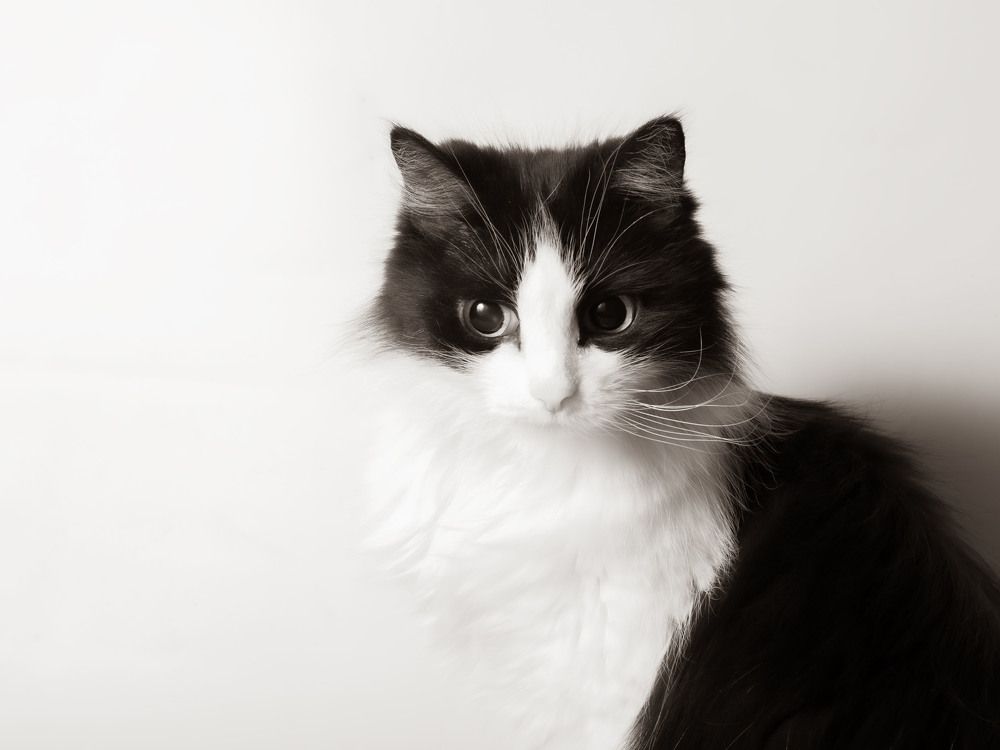 Photograph by Алексей Безгодько