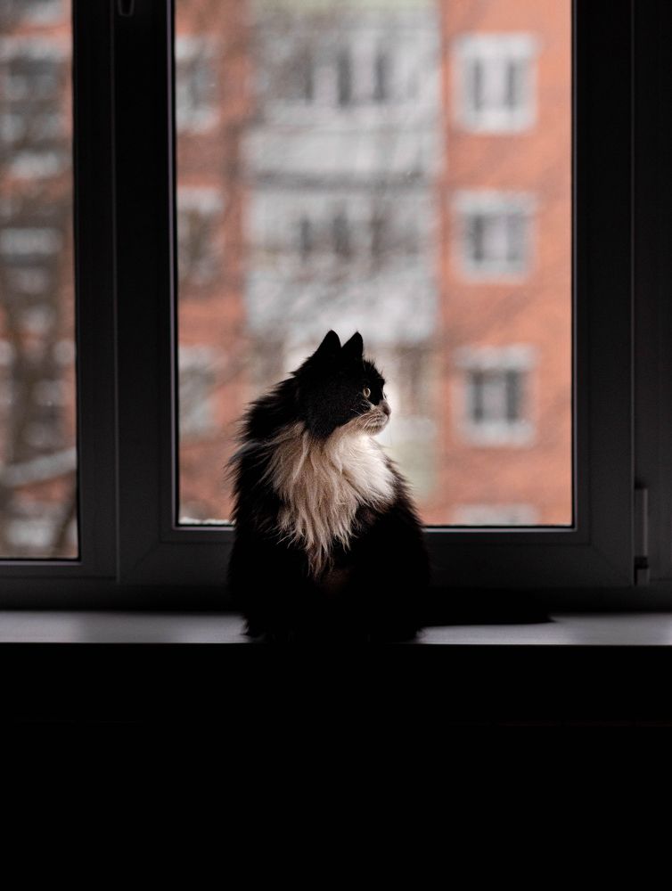 Photograph by Татьяна Гайворонская