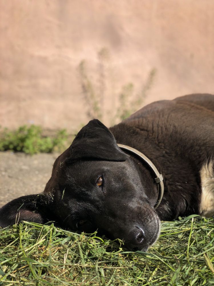 Photograph by Людмила Евстратова