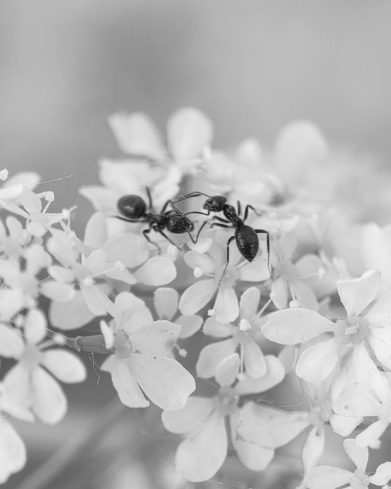 Фотография автора Марина Алексеевская
