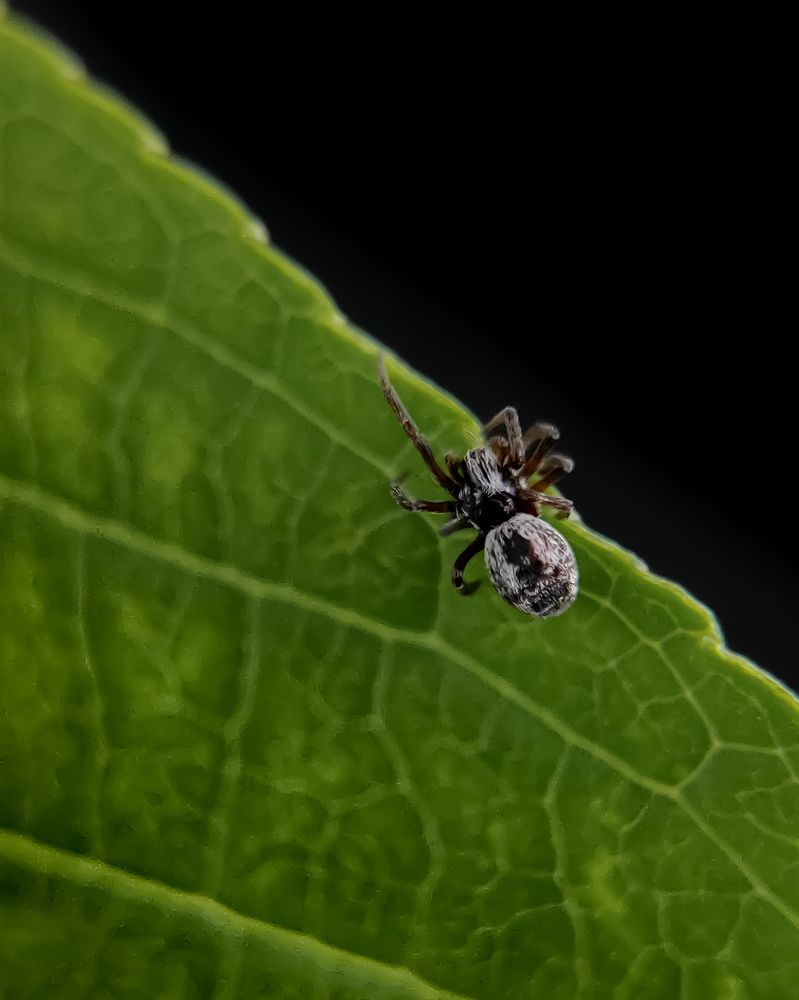 Фотография автора Марина Алексеевская