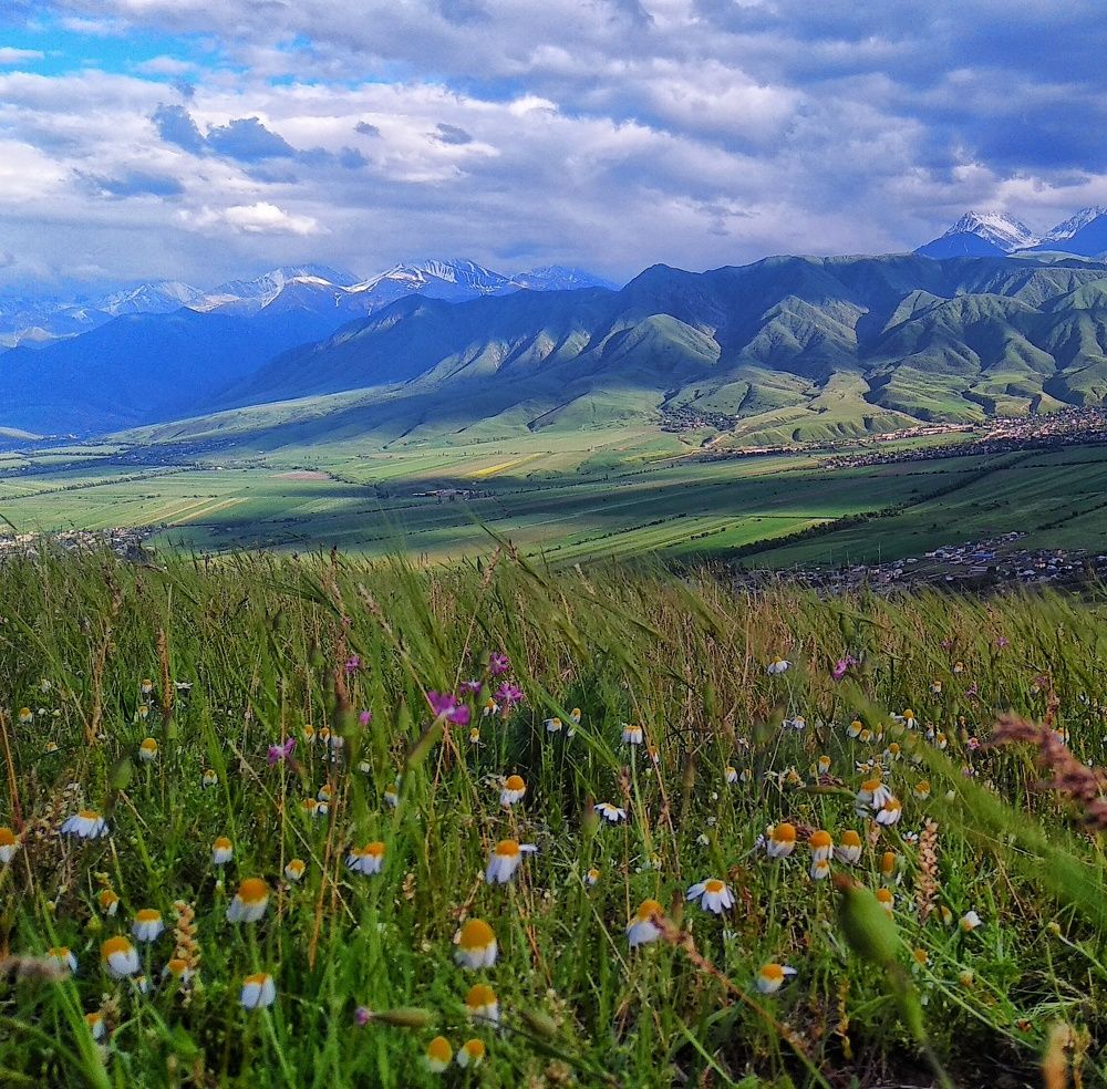 Photograph by Орынбек Асилбаев