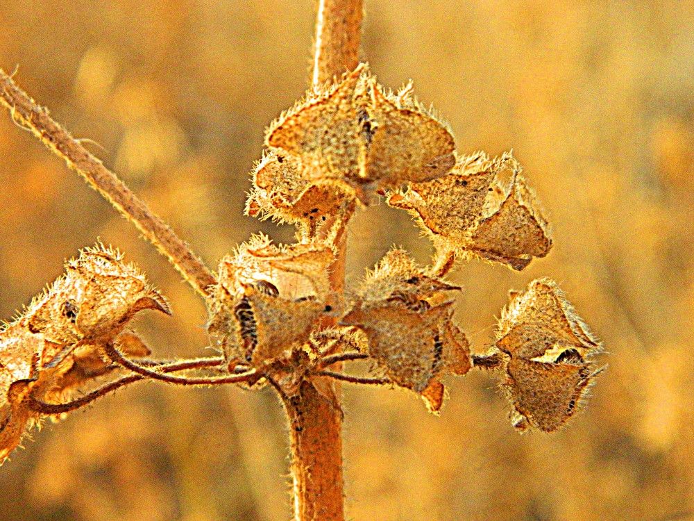 Photograph by Сергей Рапопорт