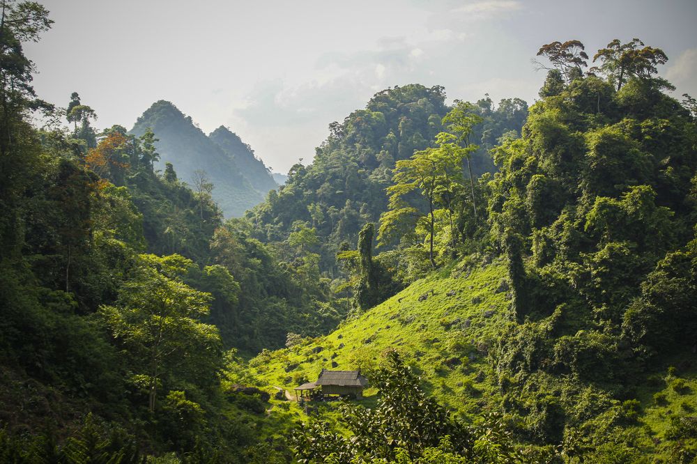 Photograph by Thị Trung Anh Do