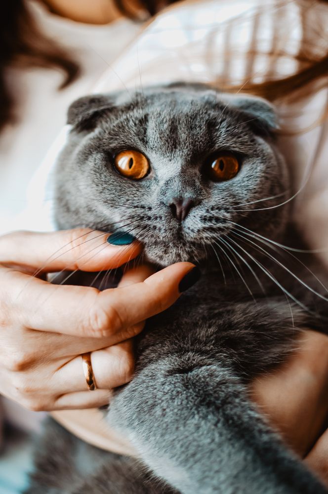 Photograph by Мария Лысых