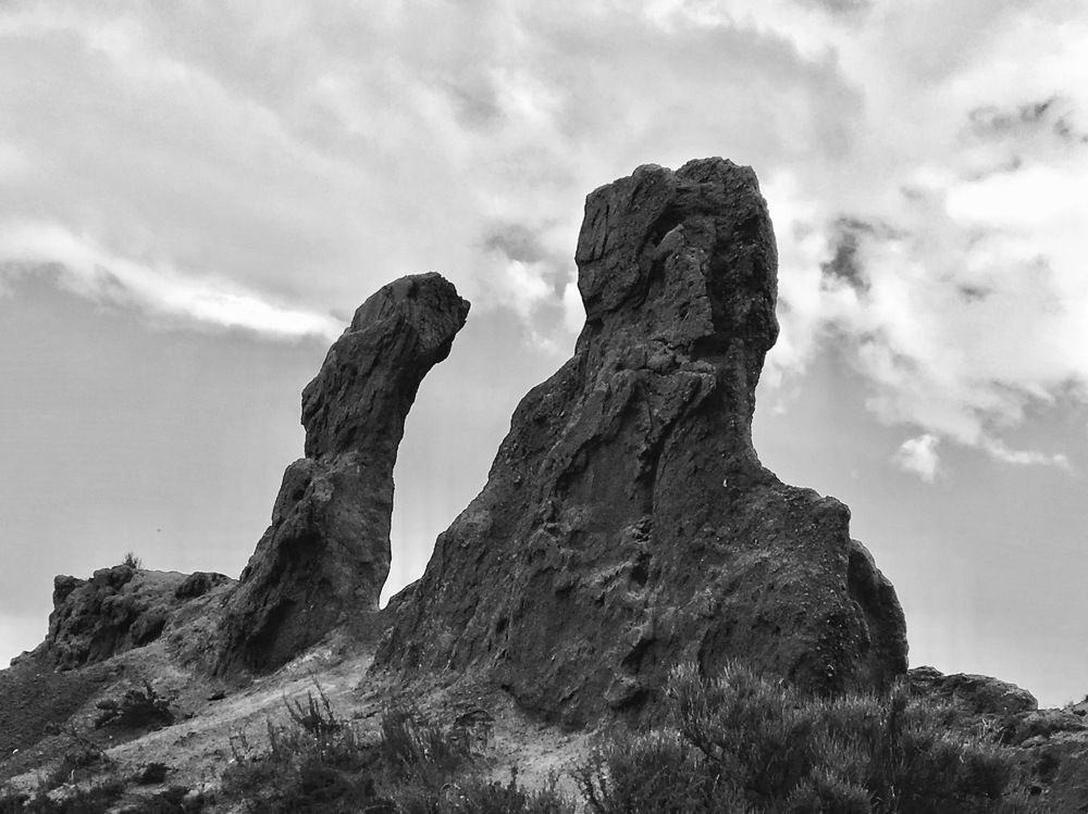 Photograph by Елена Ким