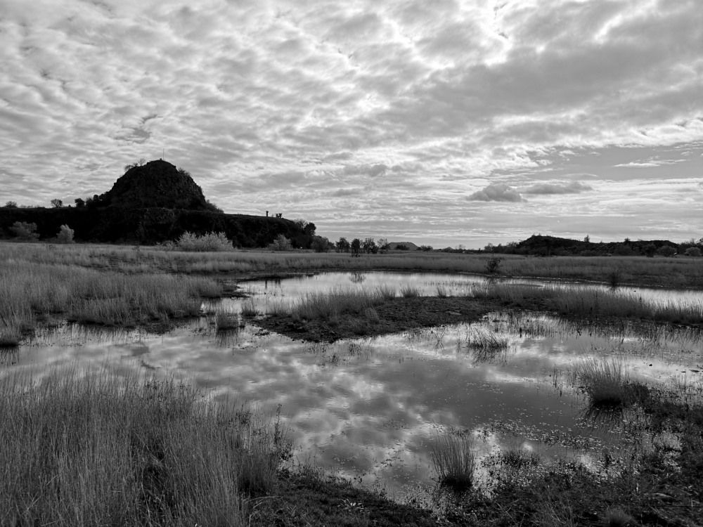 Photograph by Marina Razheva