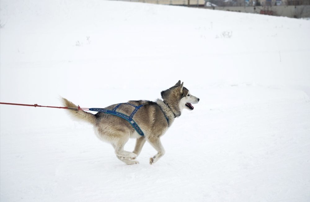 Photograph by Ольга Мокрова