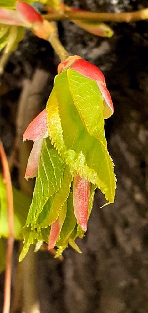 Photograph by Евгения Ульянова