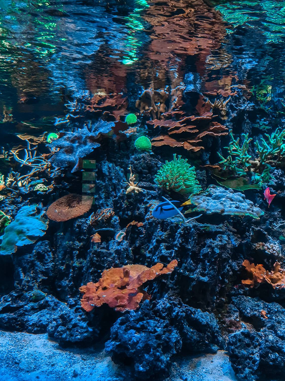 Photo #7633001