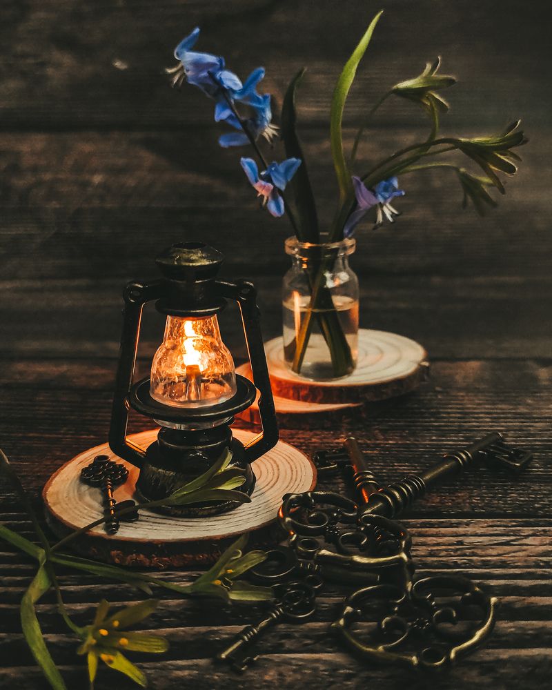 Фотография автора Марина Алексеевская