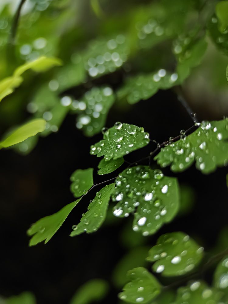 Фотография автора Марина Алексеевская