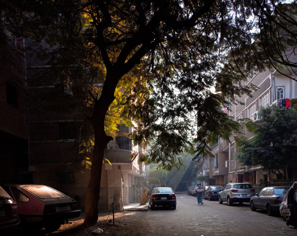 Photograph by Moomen