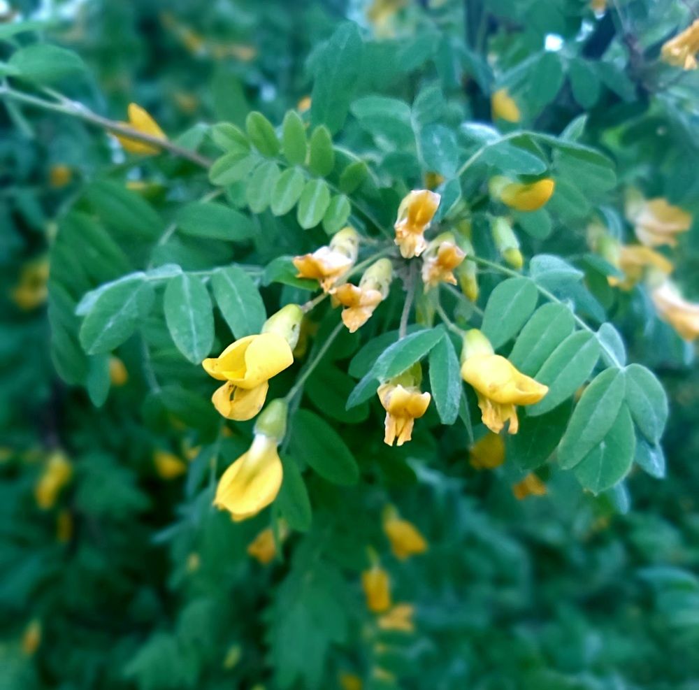 Photograph by Анна Киселева