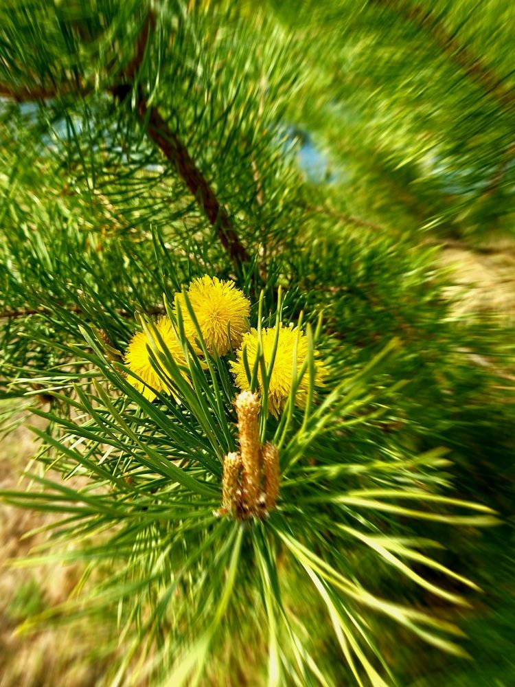 Photograph by Анна Киселева