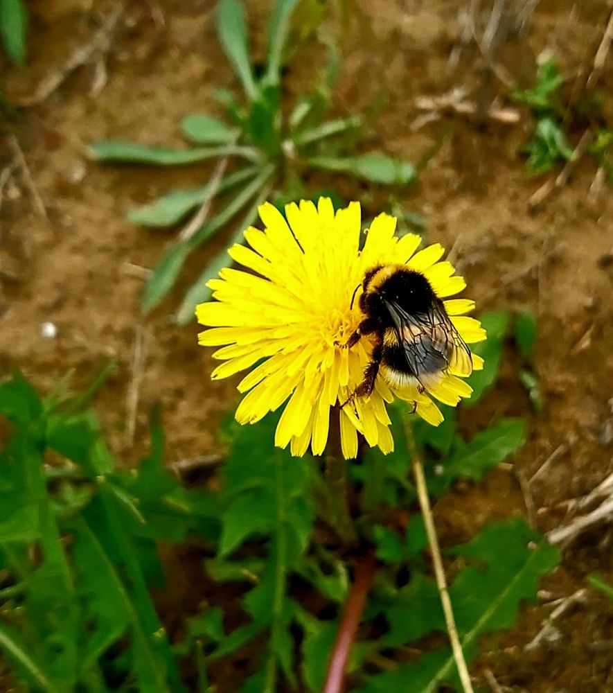 Photograph by Анна Киселева