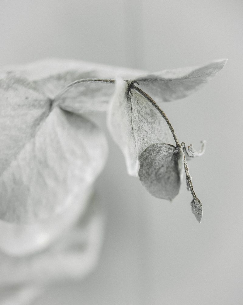 Фотография автора Марина Алексеевская