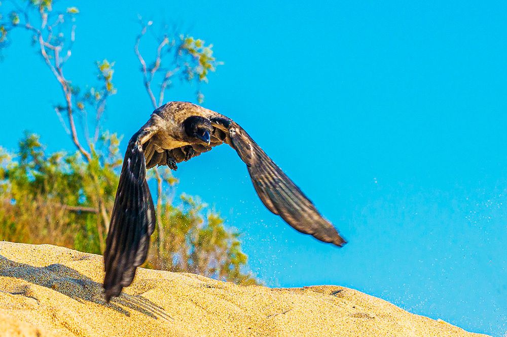 Photograph by Леонид Соболев