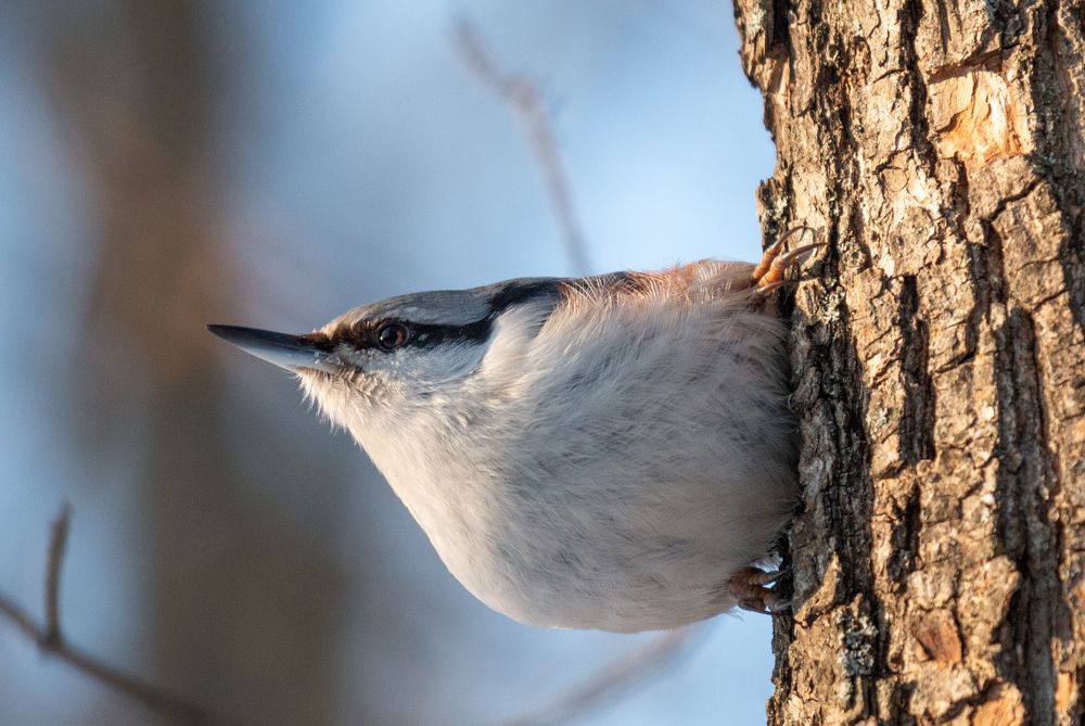 Photograph by АЛЕКСАНДР ПОПИК
