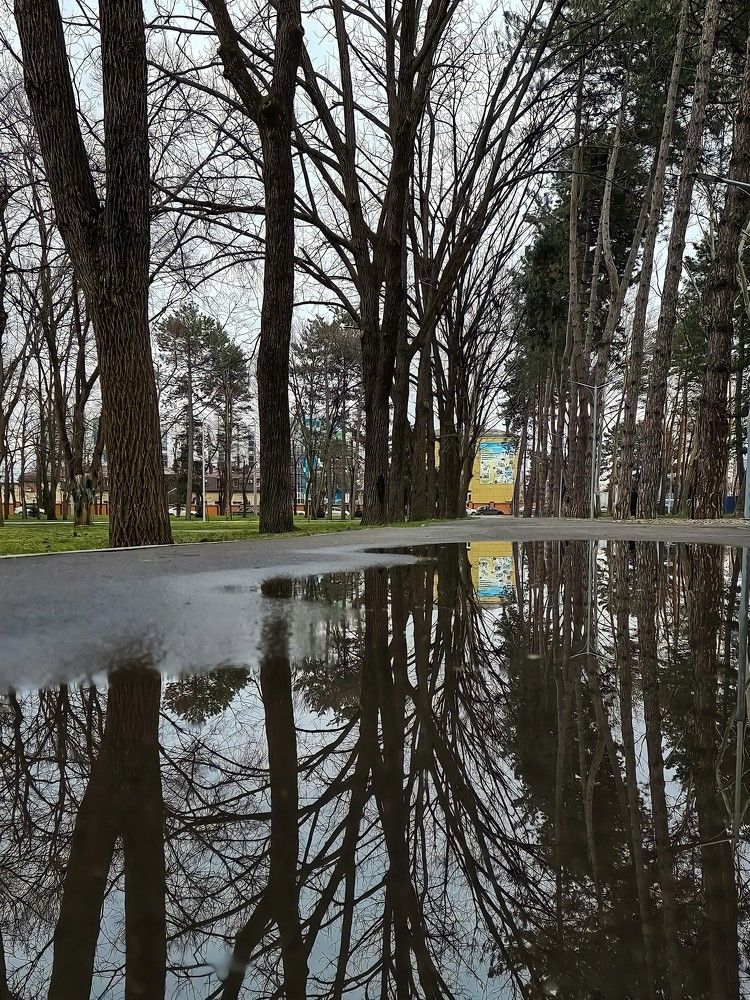 Photograph by Гельфман Галина