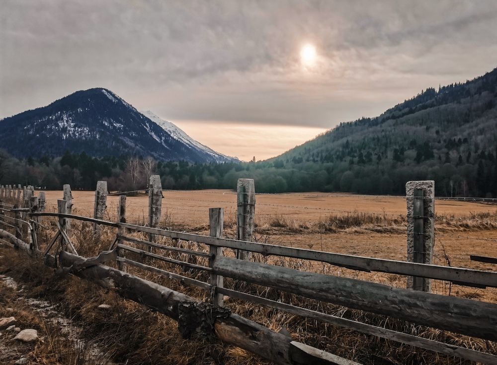 Фотография автора OXANA MARSOVA