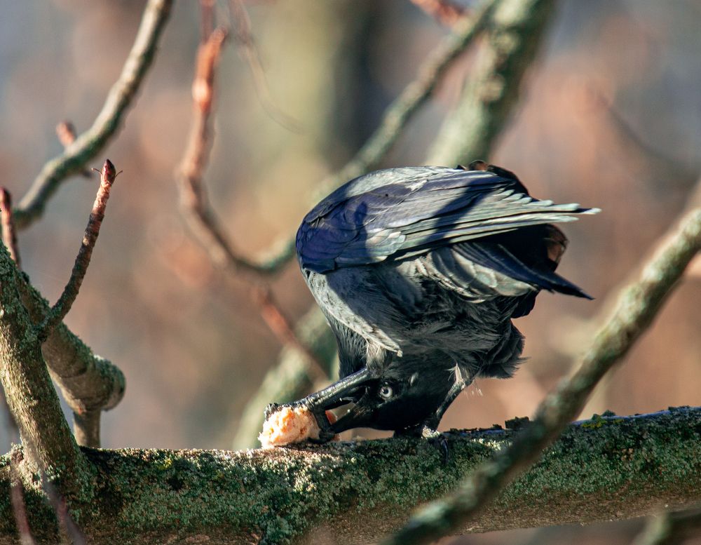 Photograph by АЛЕКСАНДР ПОПИК