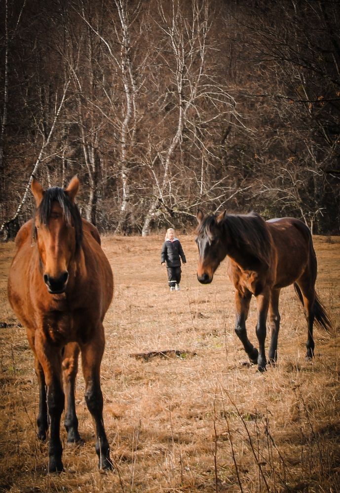 Фотография автора OXANA MARSOVA