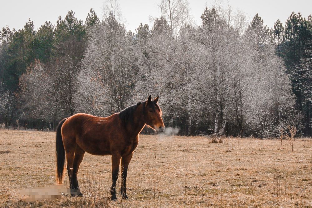 Фотография автора OXANA MARSOVA