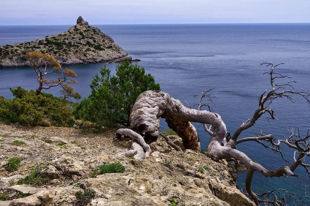 Photograph by Михаил Баевский