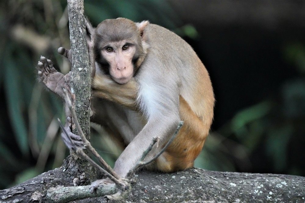 Photograph by Rajeev Sinha