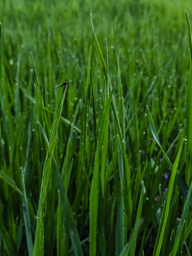 Photograph by Гельфман Галина