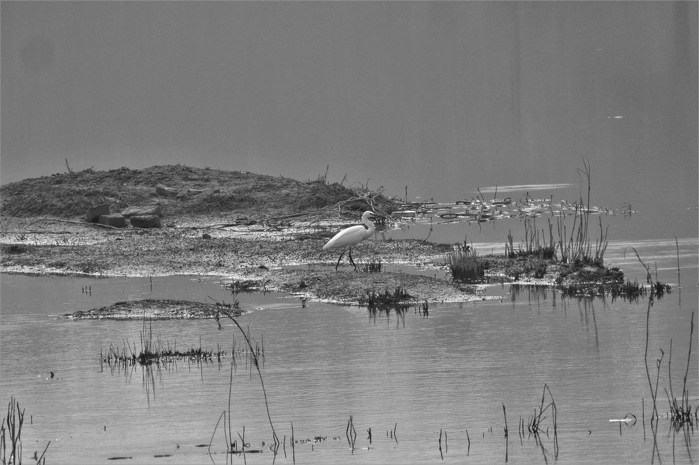 Photograph by Rajeev Sinha