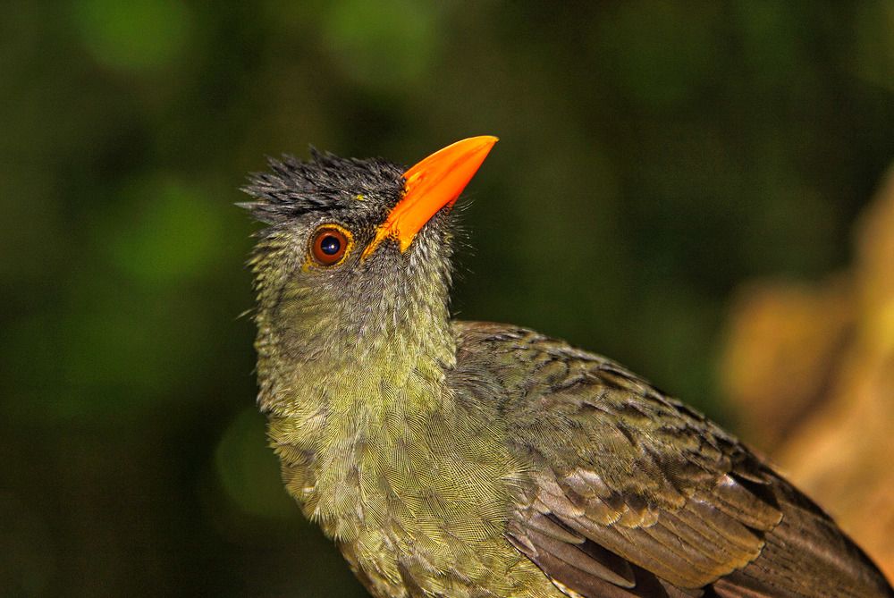 Photograph by Михаил Баевский