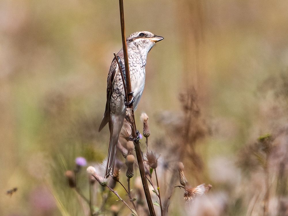 Photograph by АЛЕКСАНДР ПОПИК