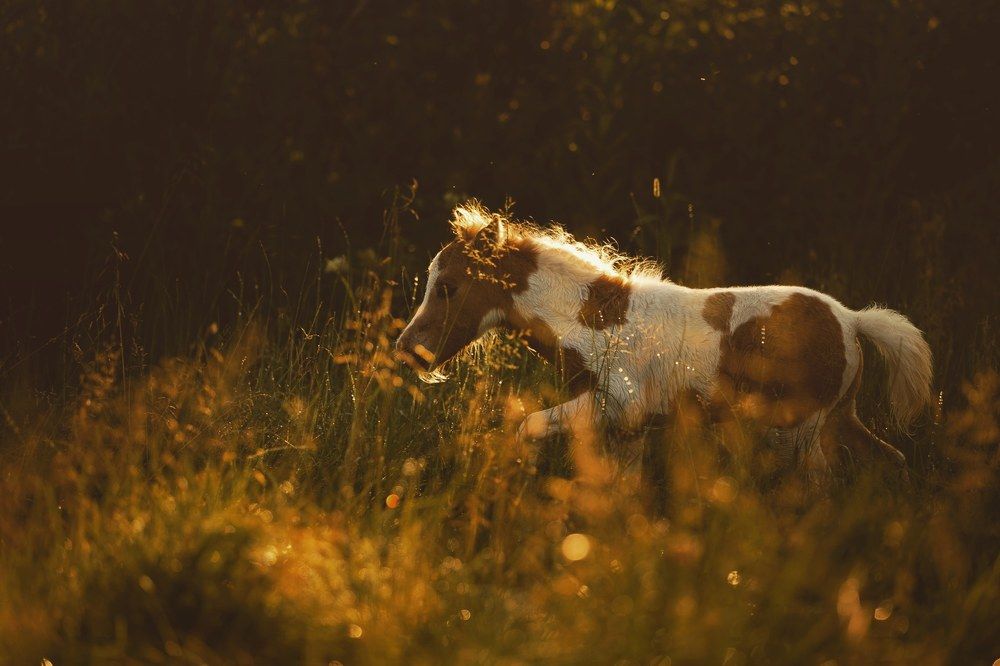 Photograph by Анастасия Байкалова