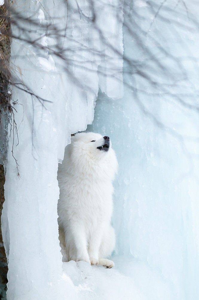 Photograph by Анастасия Байкалова