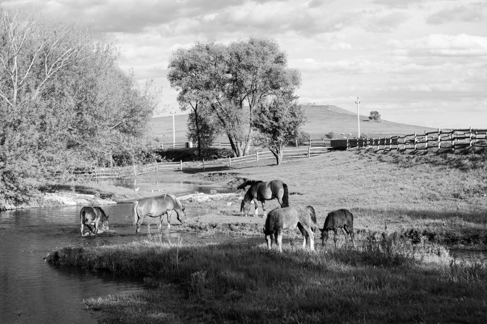 Photograph by Александра Гончаренко Александра Гончаренко