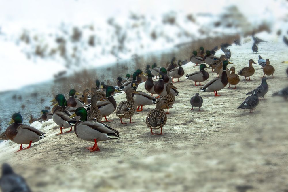 Фотография автора Дмитрий Нефёдов