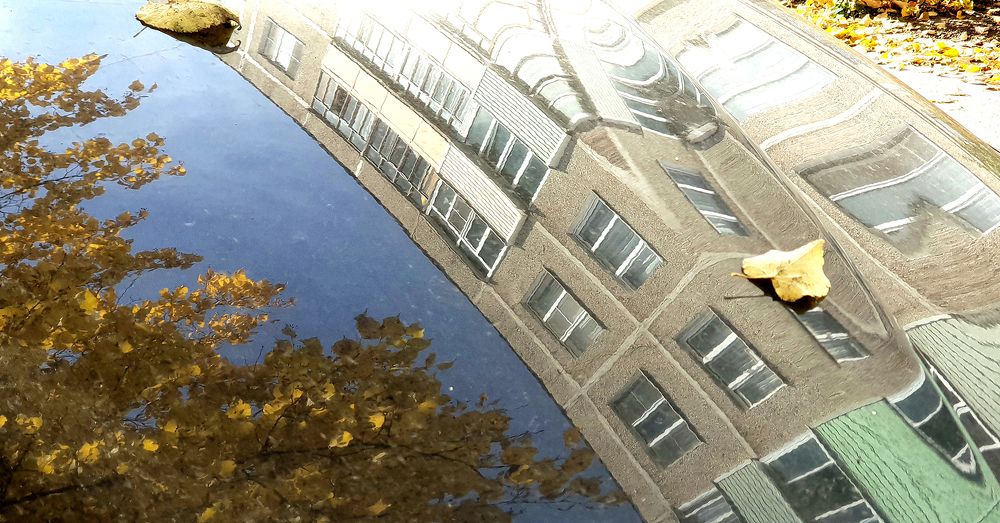 Photograph by Анастасия Богатова