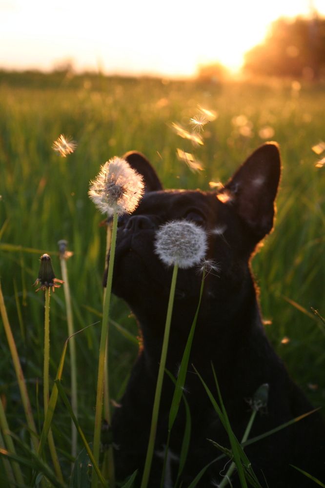 Фотография автора Татьяна Шебаршенко