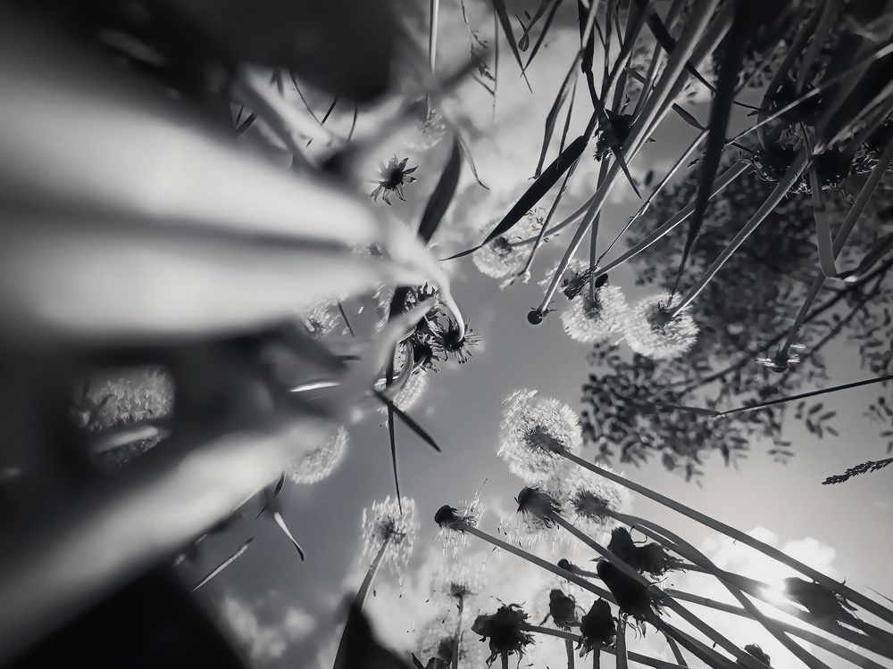 Photograph by Petya Lazarova