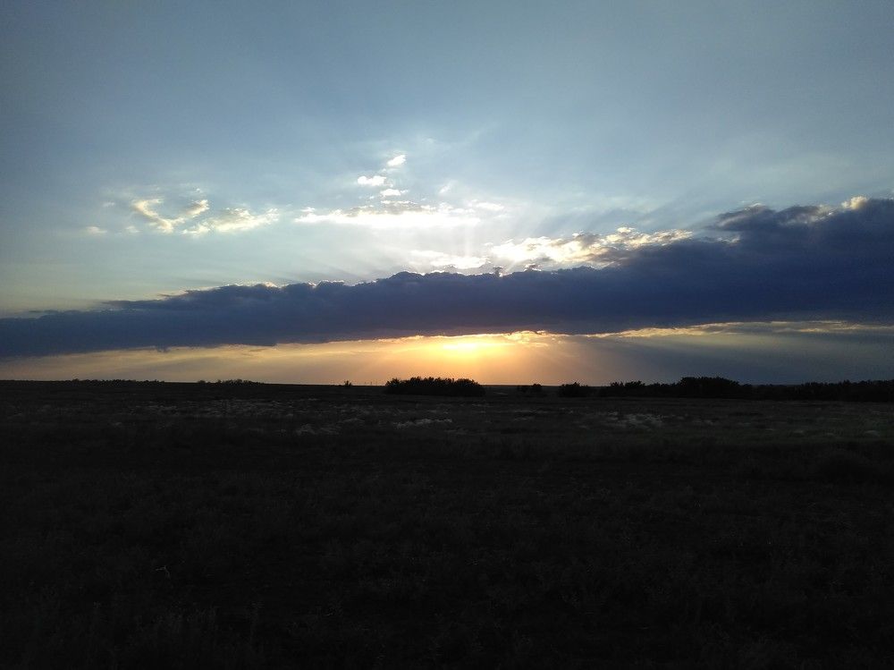 Photograph by SAFRON