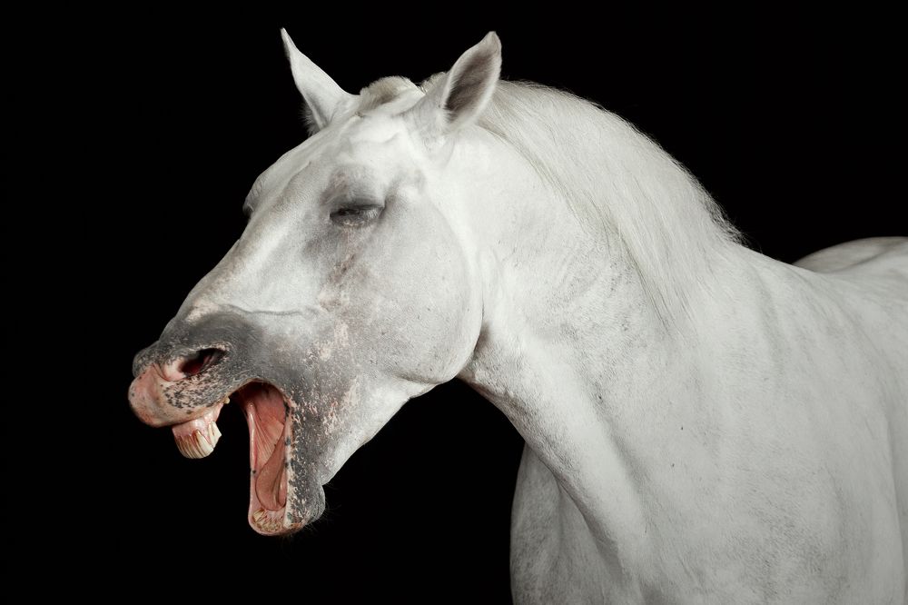 Photograph by Дарья Ералева