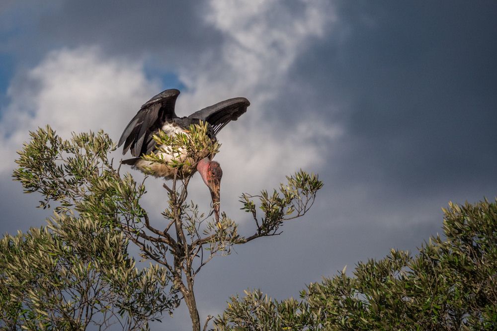 Photograph by Victor Belokrinitski