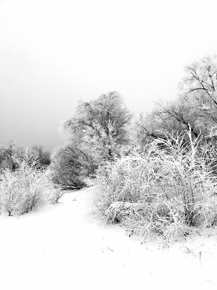 Photograph by Ольга Мокрова