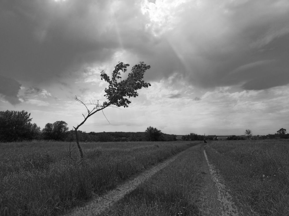 Фотография автора Сергей Камнев