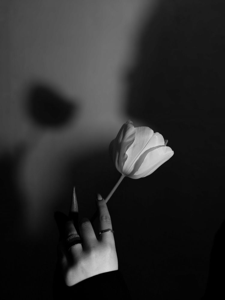 Photograph by Родионова Ксения