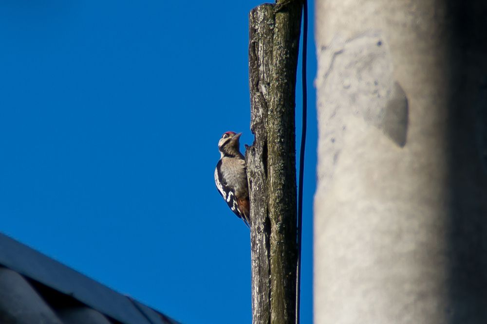 Фотография автора Юлия Кранина